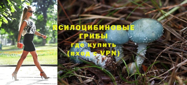 таблы Горнозаводск
