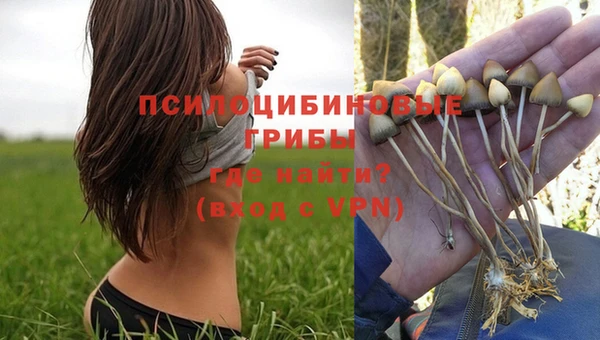 spice Горно-Алтайск