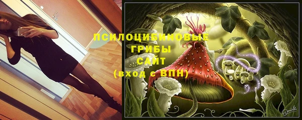 таблы Горнозаводск