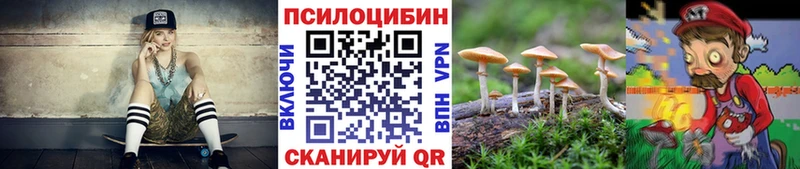 Псилоцибиновые грибы GOLDEN TEACHER Рязань