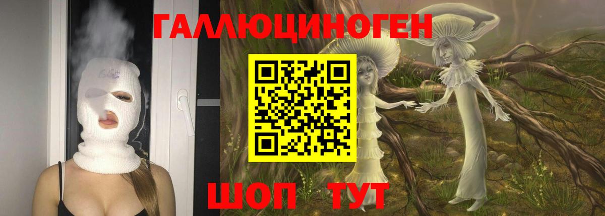Рязань  Галлюциногенные грибы GOLDEN TEACHER  Вход с VPN  Галлюциногенные грибы мухоморы 